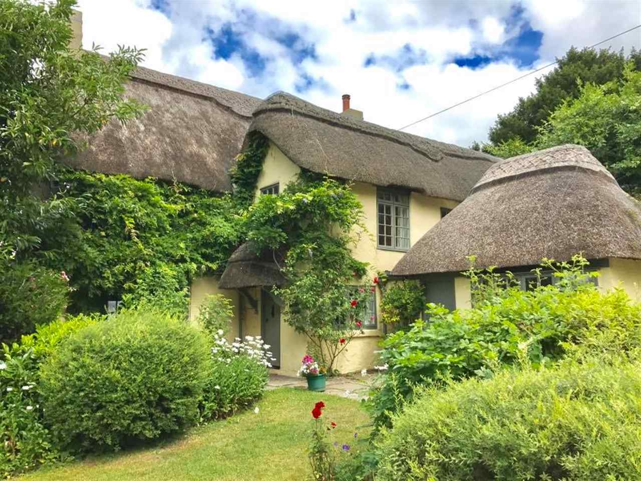 resized-2349823-Beck Cottage with roses.jpg